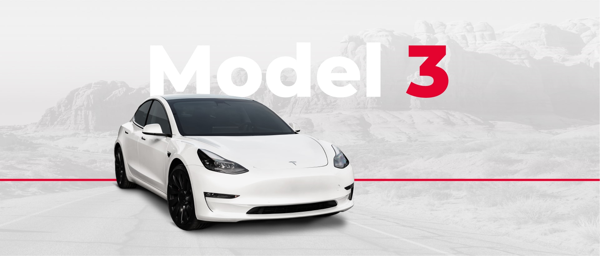 Model 3 Section Go Tesla