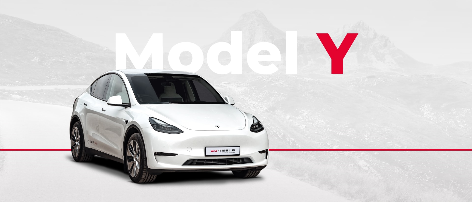 Model Y Section Go Tesla