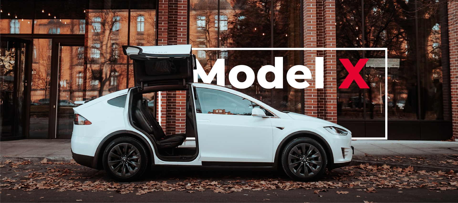 Go Tesla - Model X