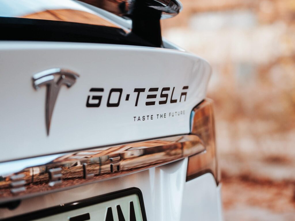 GoTesla Tesla Model X